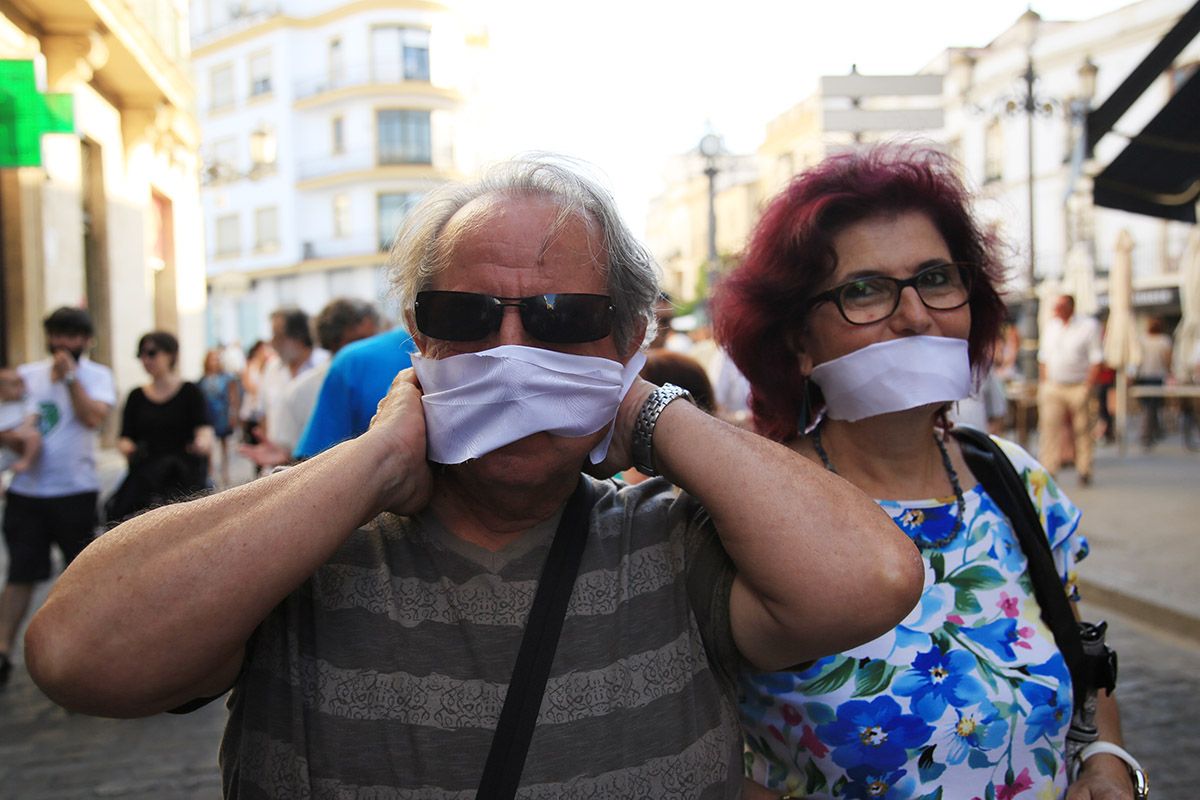 Falso de toda falsedad. Manifestantes en una pasada movilización contra le Ley Mordaza. FOTO: LVDS.