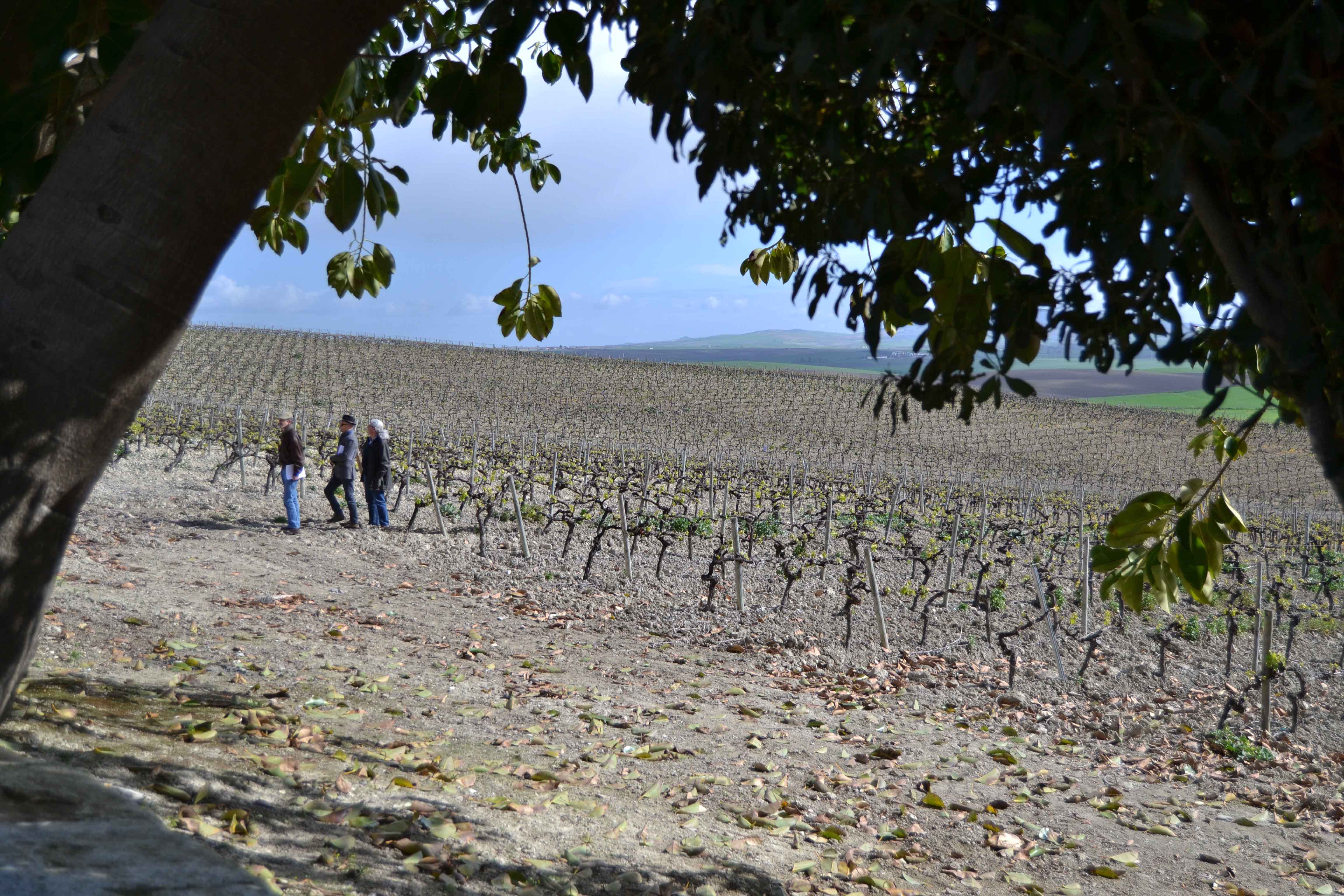 archivos_y_literatura_4