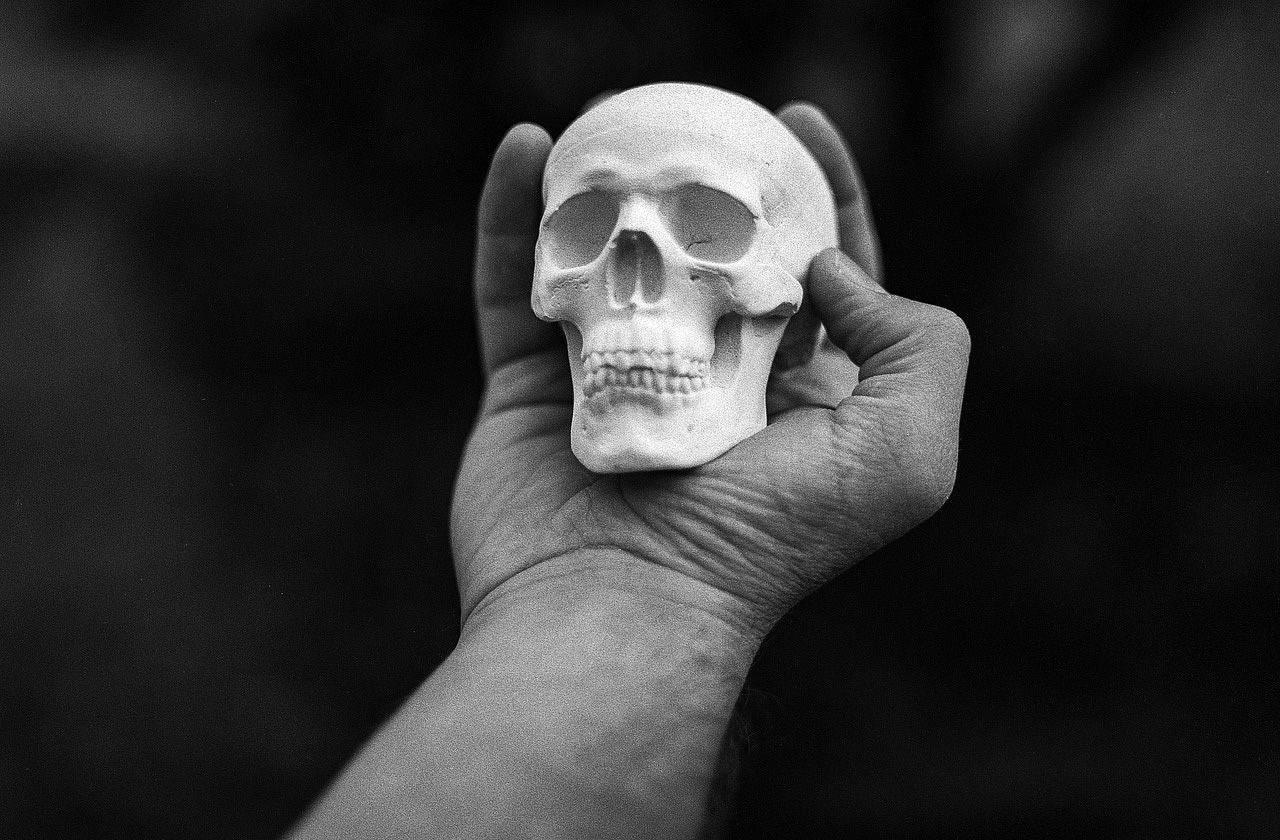 skull-1815619_1280.jpg