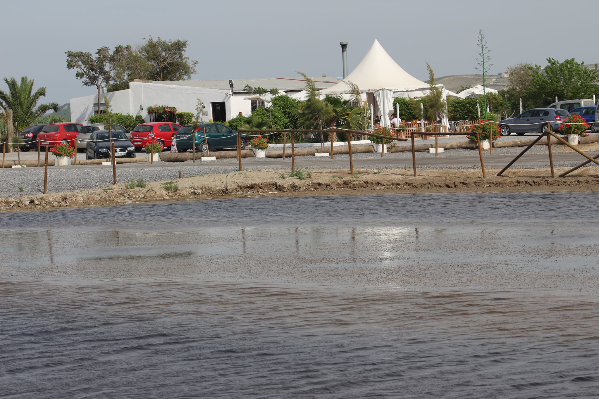 18053034_10212188551805537_1214207671_o