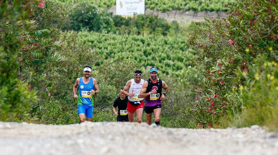 captura_de_pantalla_2017-04-30_a_las_17.51.47