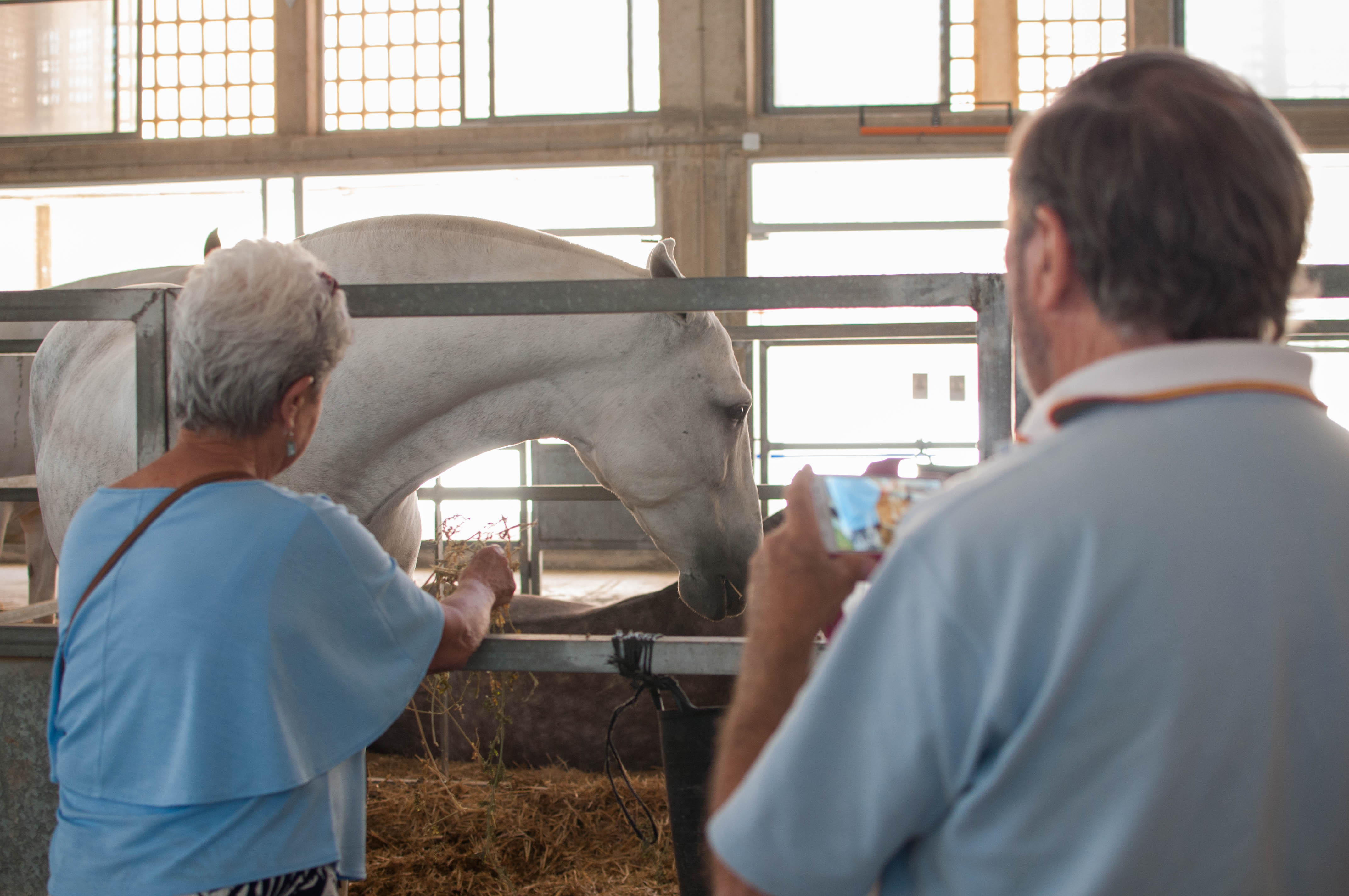 Dos visitantes a una pasada edición de Equisur en Jerez.