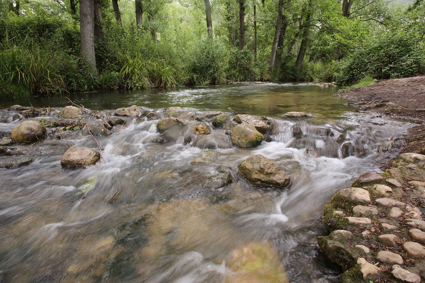 el_bosque_pueblo_a_pueblo59