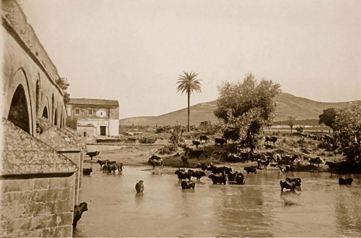 puente_de_cartuja_decadas_atras