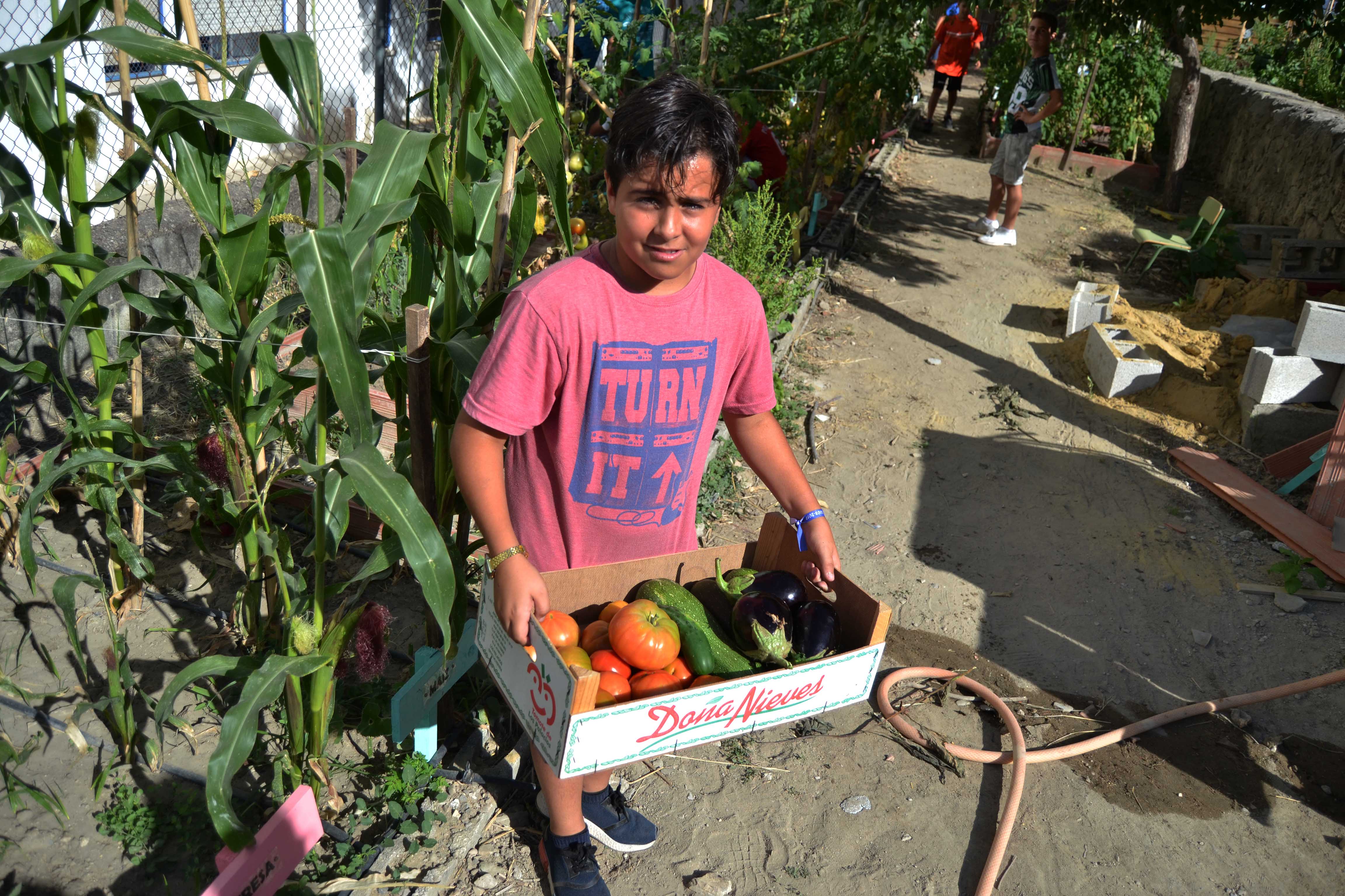 "La huerta del abuelo Juan", un proyecto escolar para cultivar valores