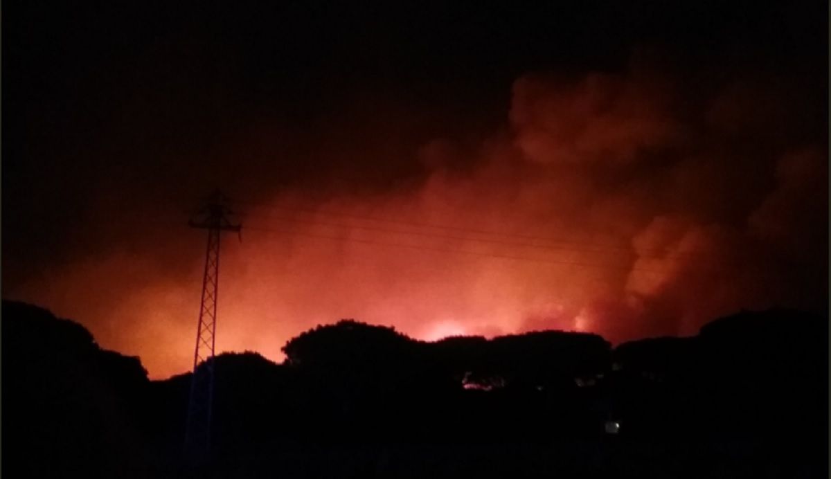 incendio_en_donana.jpg