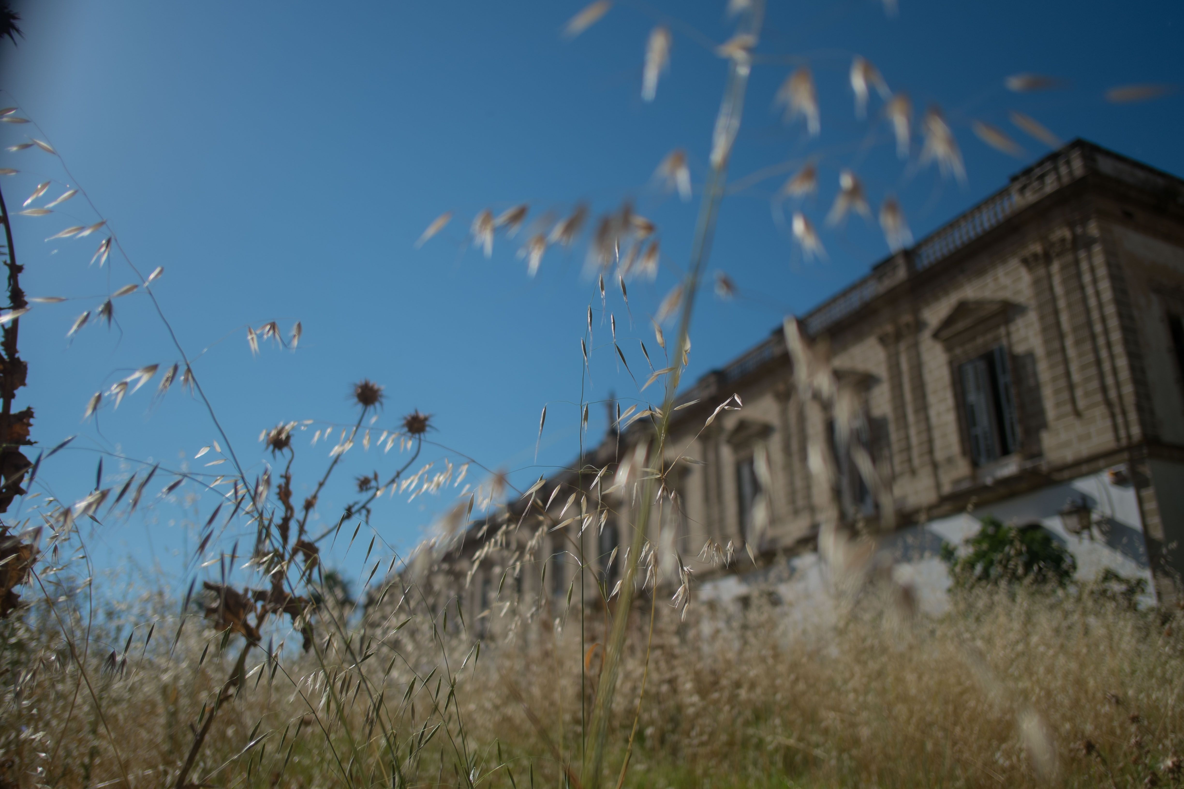 Díez Mérito saldrá del abandono reconvertido en un punto clave del mapa sanitario de Jerez.