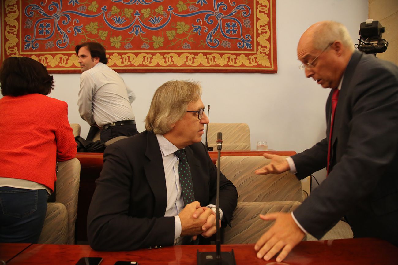 Camas, en un pleno reciente.