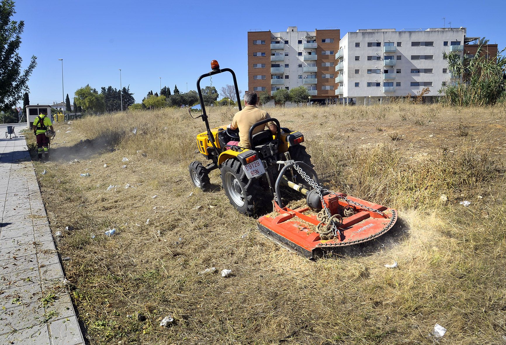 desbroce_camino_de_espera_02