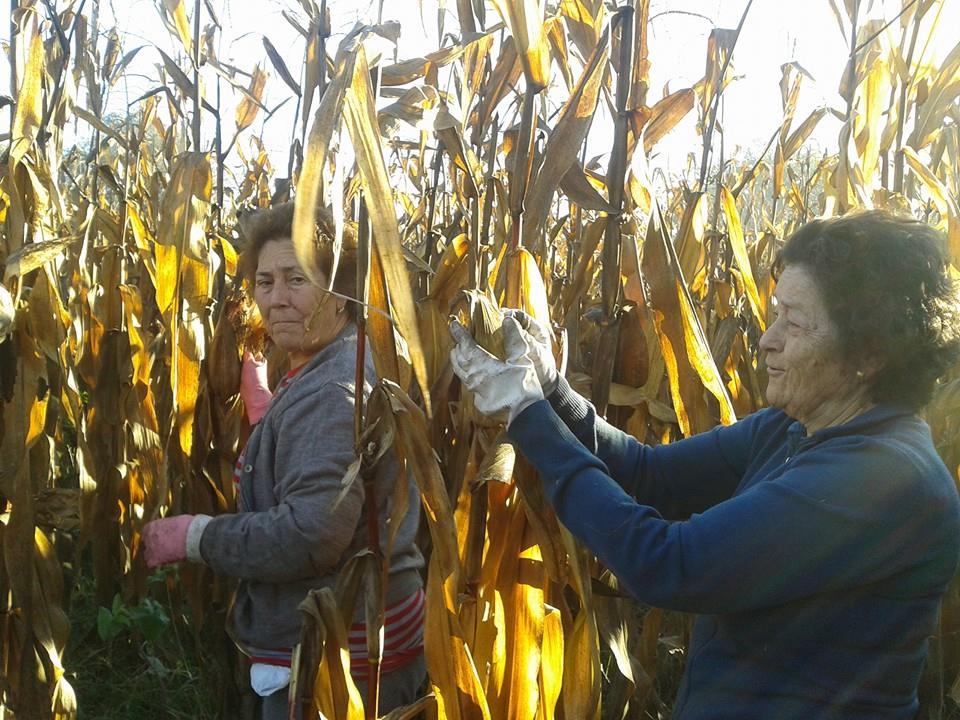 1002926_10151944428222107_1624954367_n