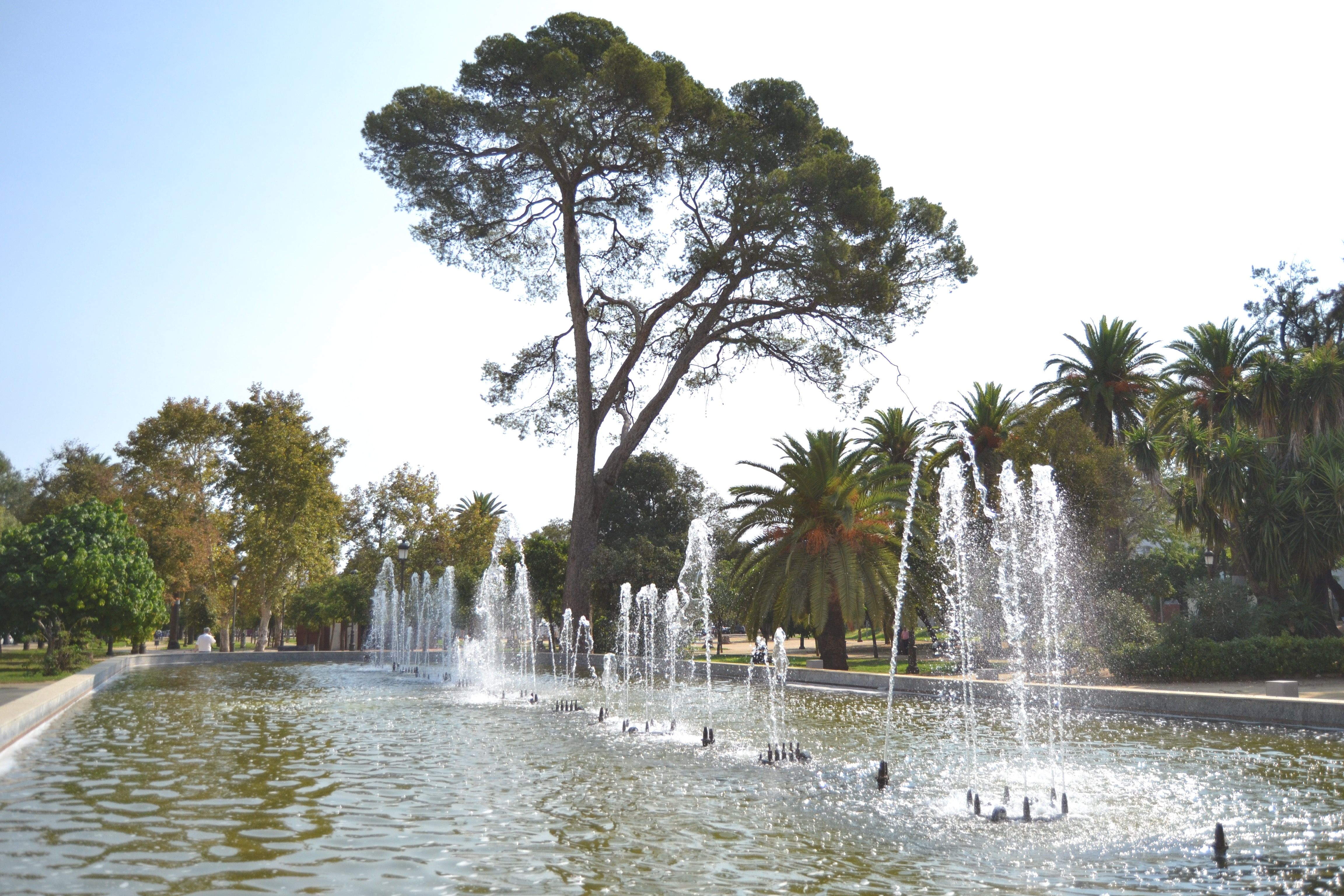 El parque del Retiro de Jerez, donde fue detenido el hombre que portaba la pistola.