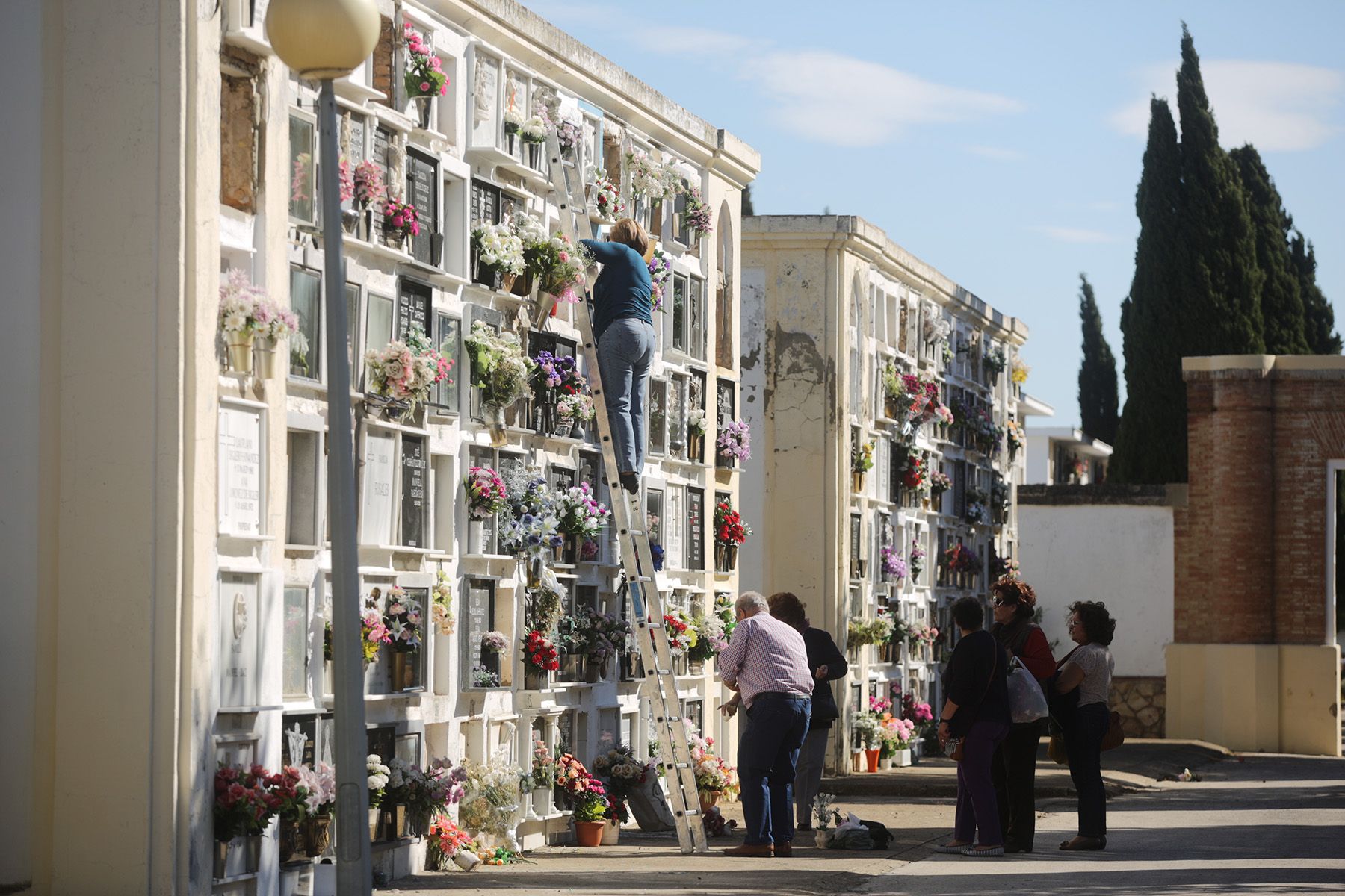 Una imagen del Cementerio de Jerez. Morirse no es una cuestión barata.   FOTO: MANU GARCÍA.