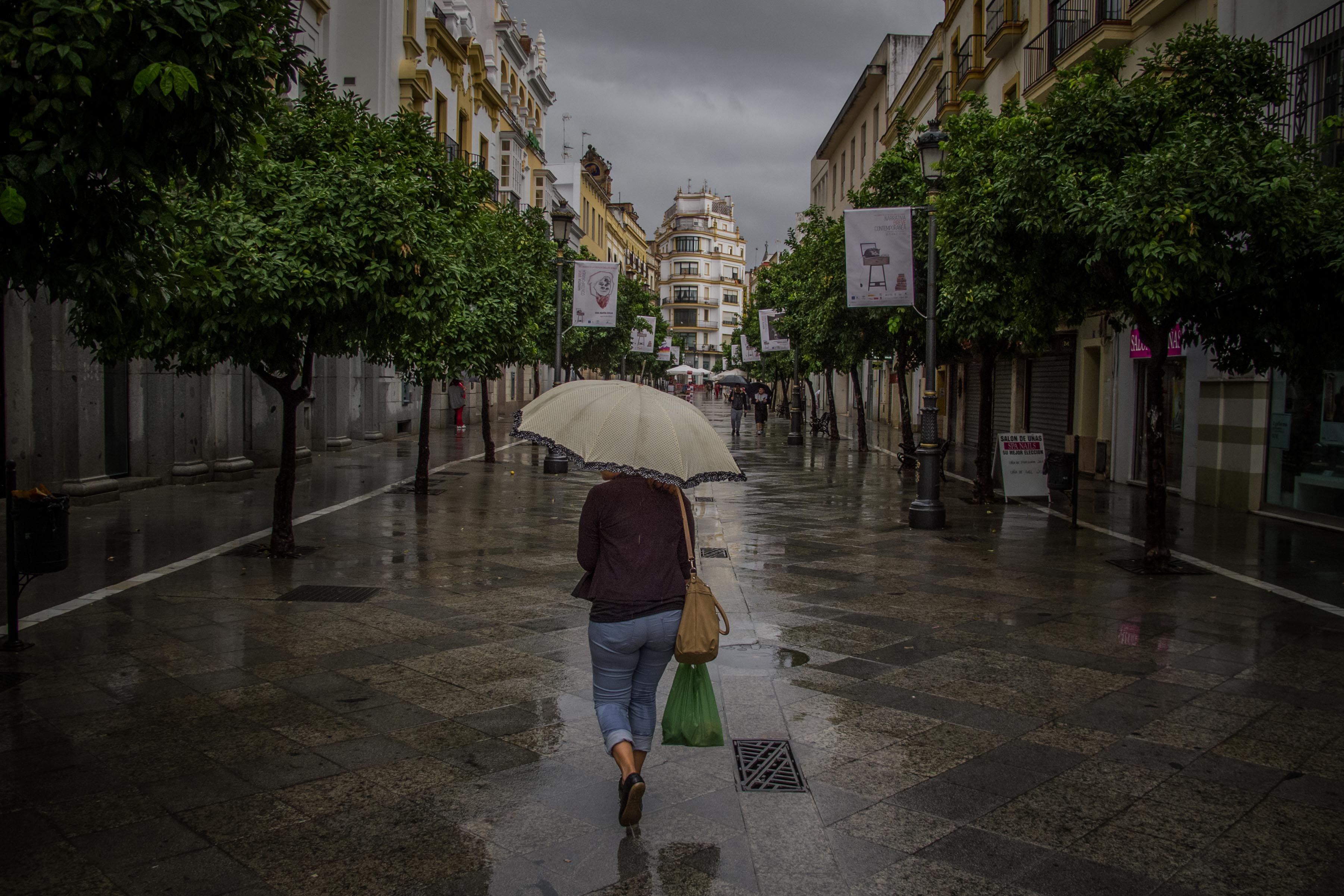 Una mujer paseando bajo la lluvia en Jerez. FOTO: MANU GARCÍA. 