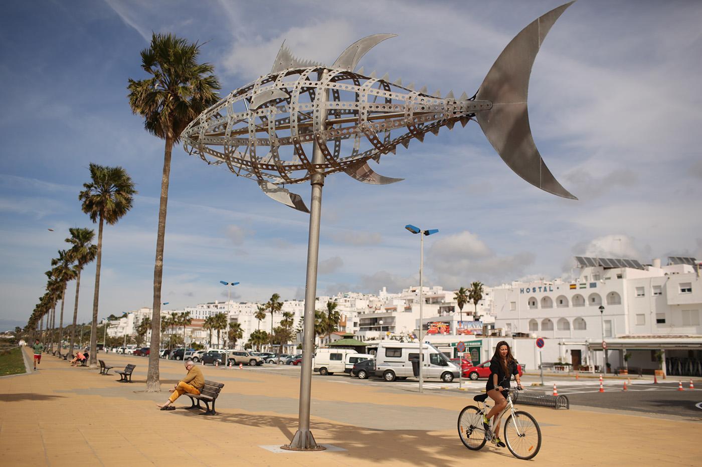 Conil, uno de los pueblos donde se han detectado brotes de jóvenes.