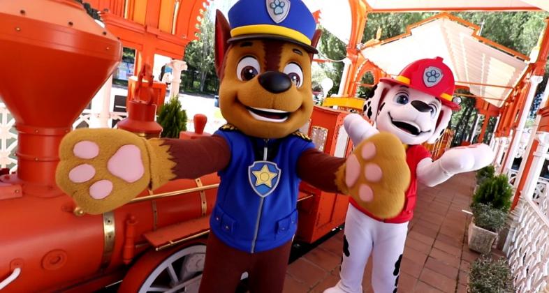 patrulla_canina_captura_video_aprobado