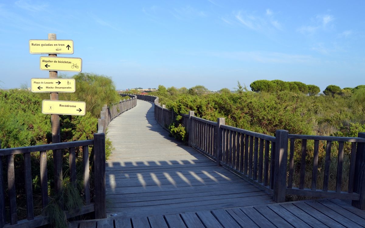 9269775883_502c13703e_o