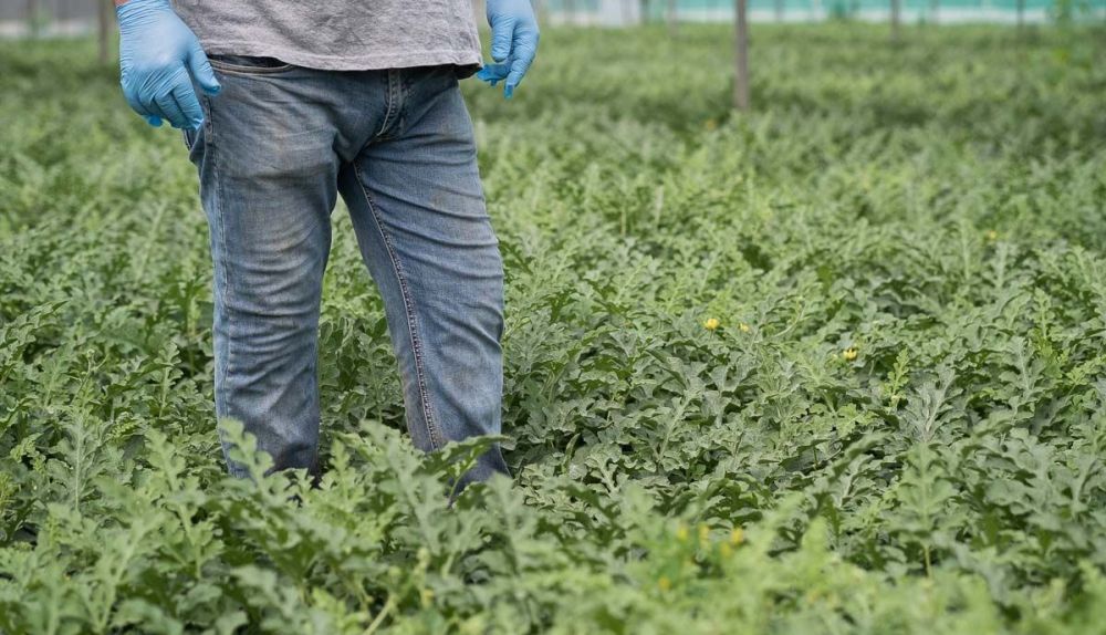 Un agricultor, en una imagen reciente.