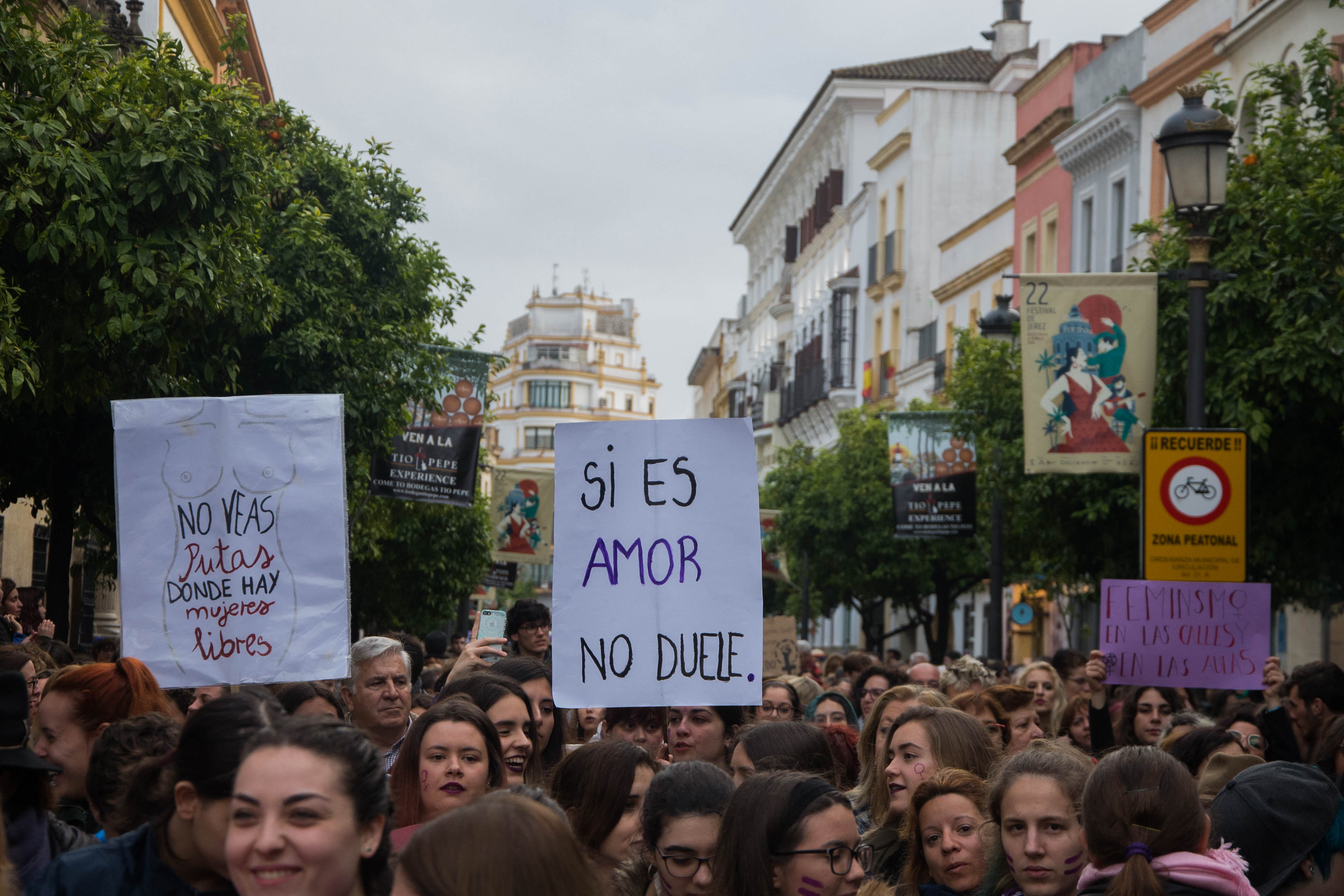 Una imagen de la pasada manifestación histórica del 8M en Jerez.