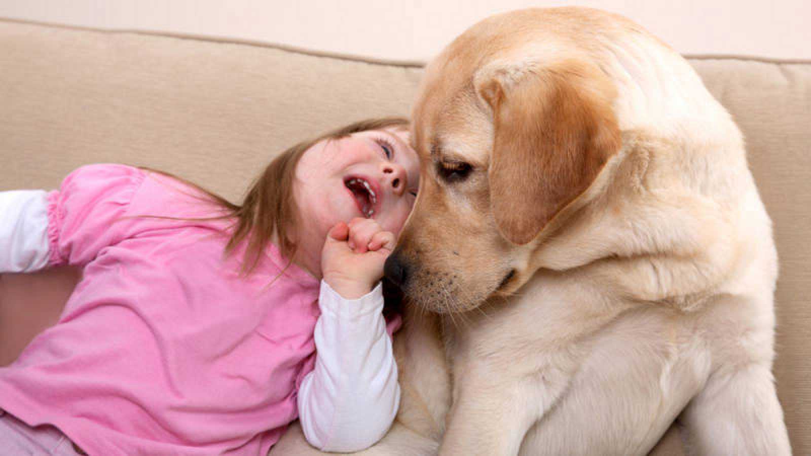 Se prestará asistencia a personas con necesidades especiales a través de terapias con perros entrenados especialmente para facilitar la comunicación.