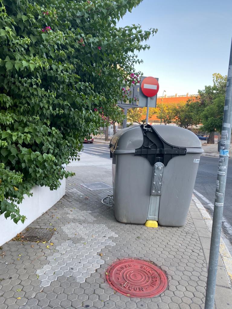 Contenedor en acera que impide pasear con tranquilidad.