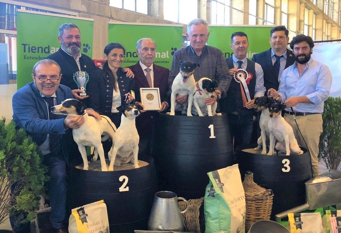 Pérez, en la monográfica nacional en Jerez del perro ratonero bodeguero andaluz.