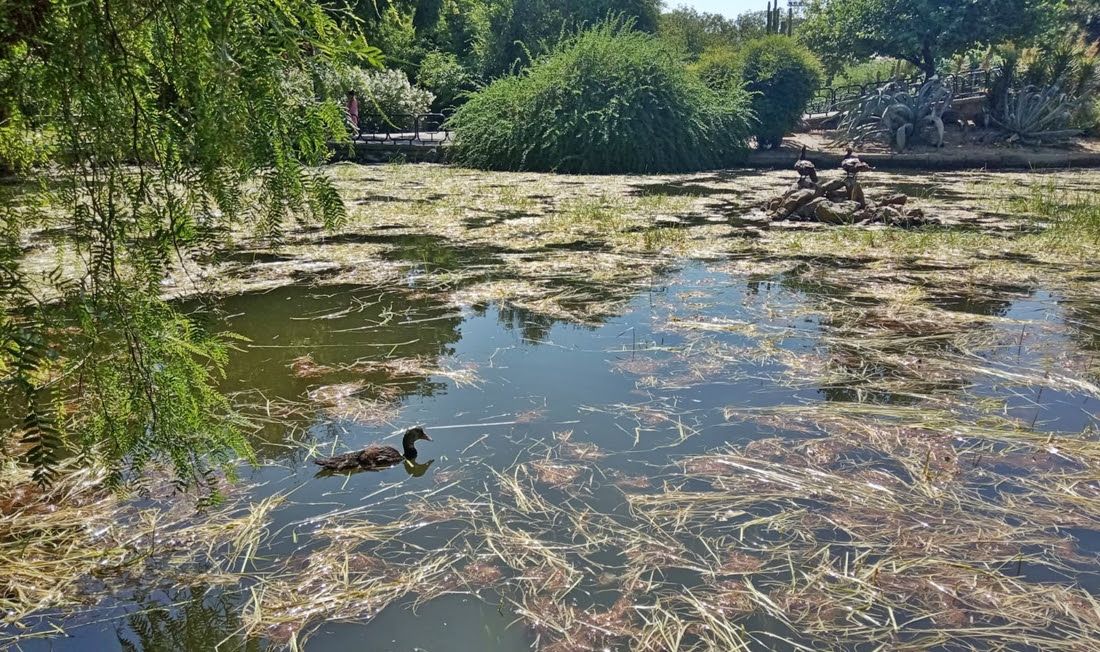 El parque de los Príncipes de Sevilla. FOTO: AxSí