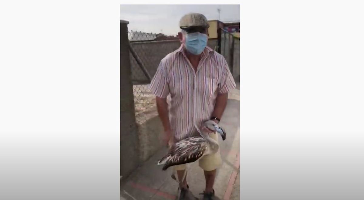 El hombre de Sanlúcar de Barrameda paseando con su flamenco
