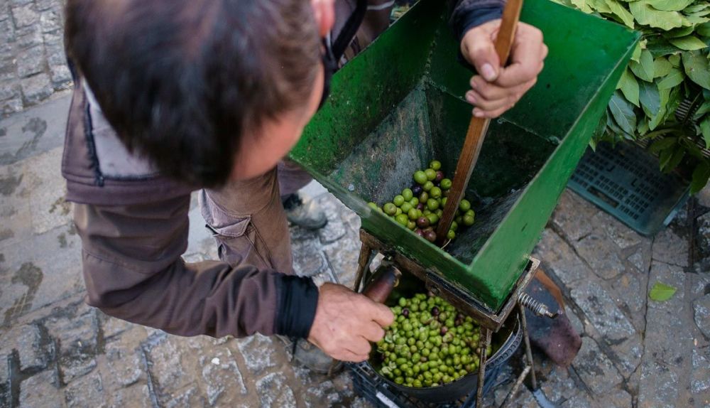 Paco, aceitunero frente a las puertas de la Plaza de Abastos de Jerez. FOTO: MANU GARCÍA