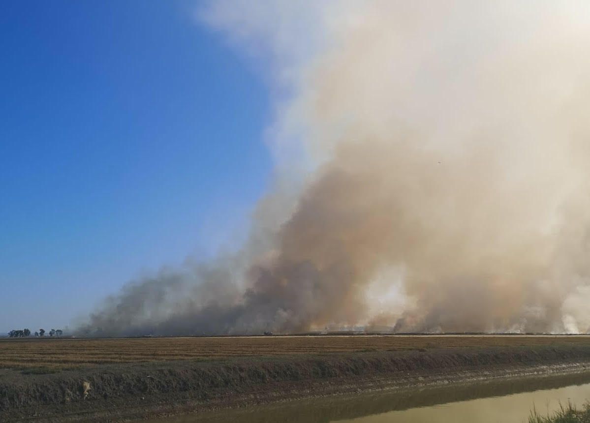 Una quema de rastrojos en una tierra agrícola andaluza, en una imagen reciente.