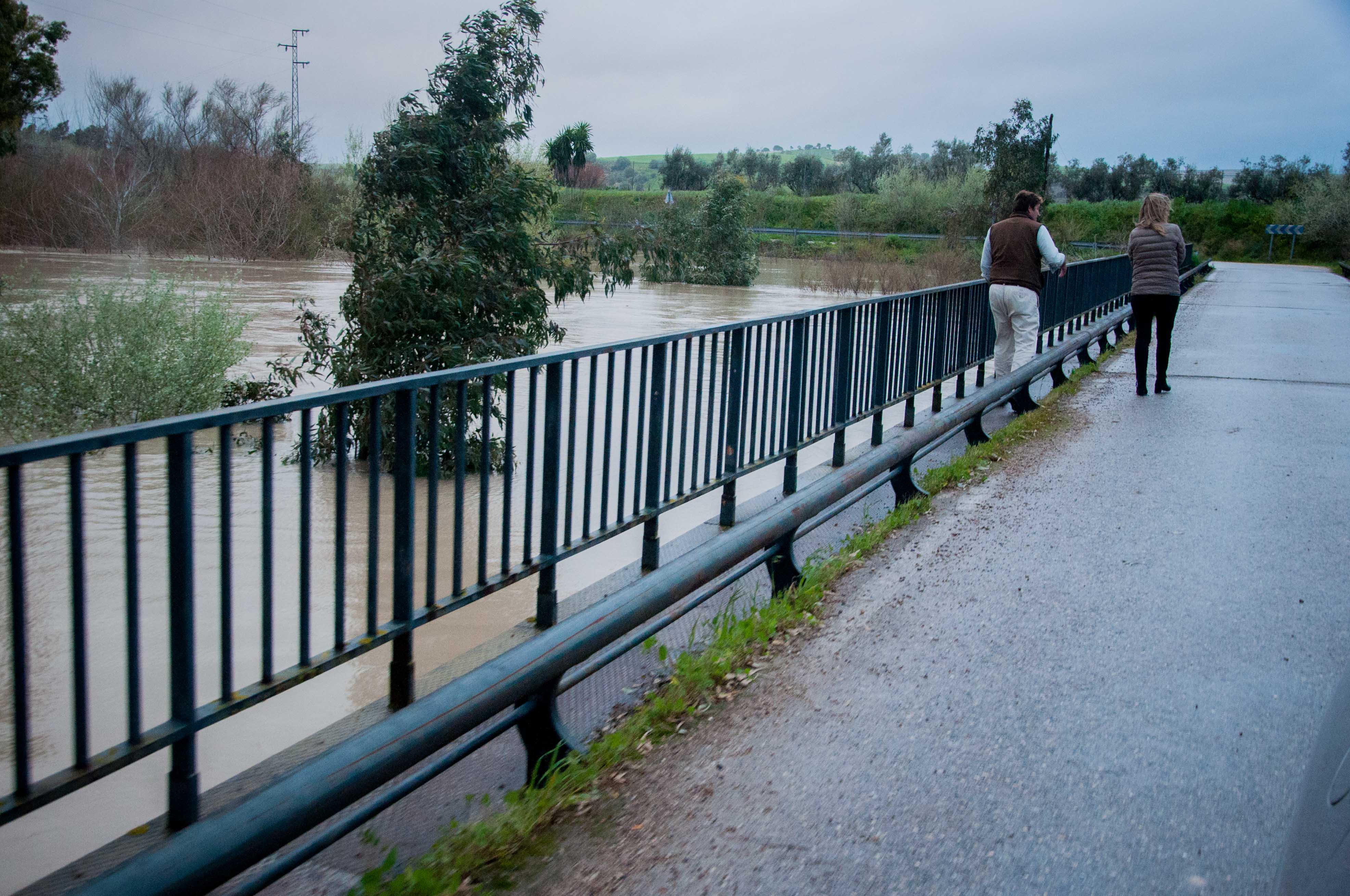 Inundaciones en la campiña jerezana hace año y medio. FOTO: MANU GARCÍA