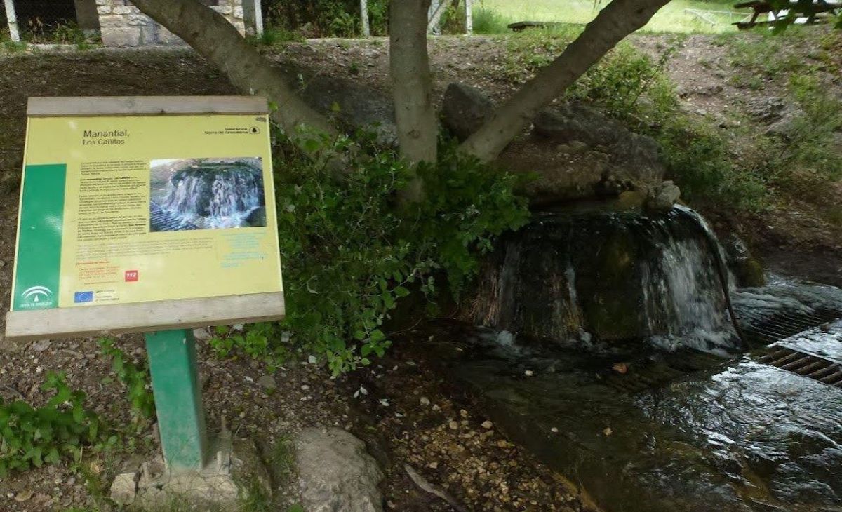 Contaminación de las aguas subterráneas del manantial de Los Cañitos, que abastece a El Bosque.