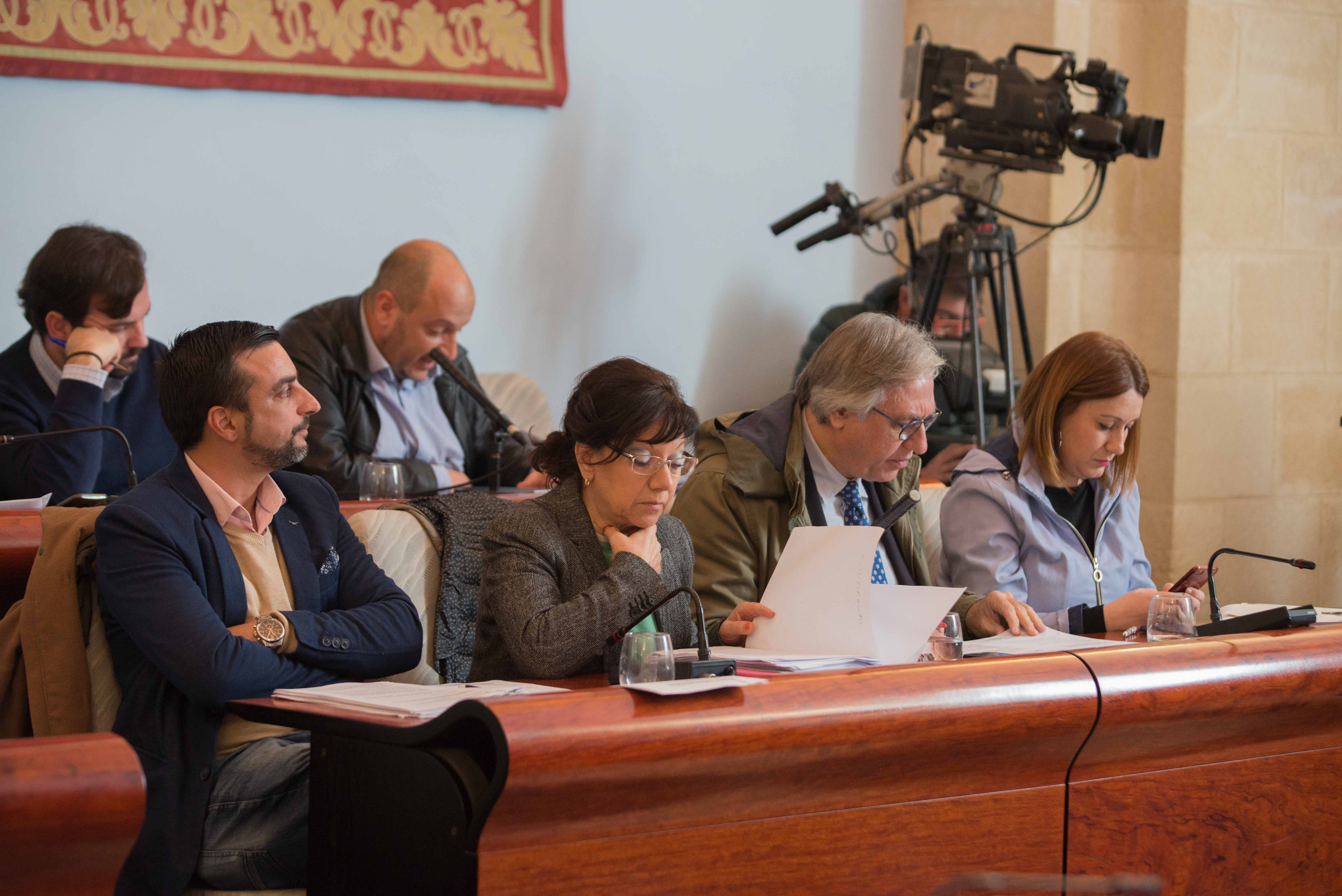 La teniente de alcaldesa Carmen Collado, en el centro de la imagen, durante un pleno. FOTO: MANU GARCÍA.