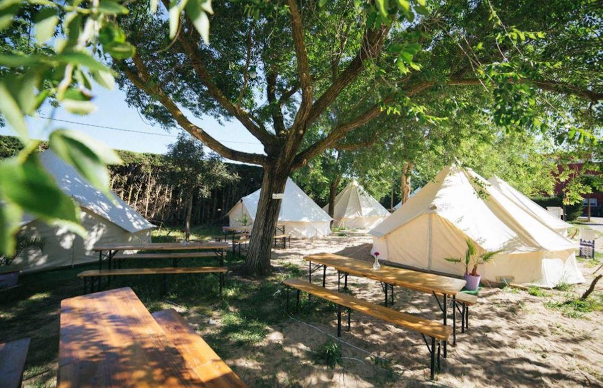 Tiendas Kampao en un camping de la costa gaditana.