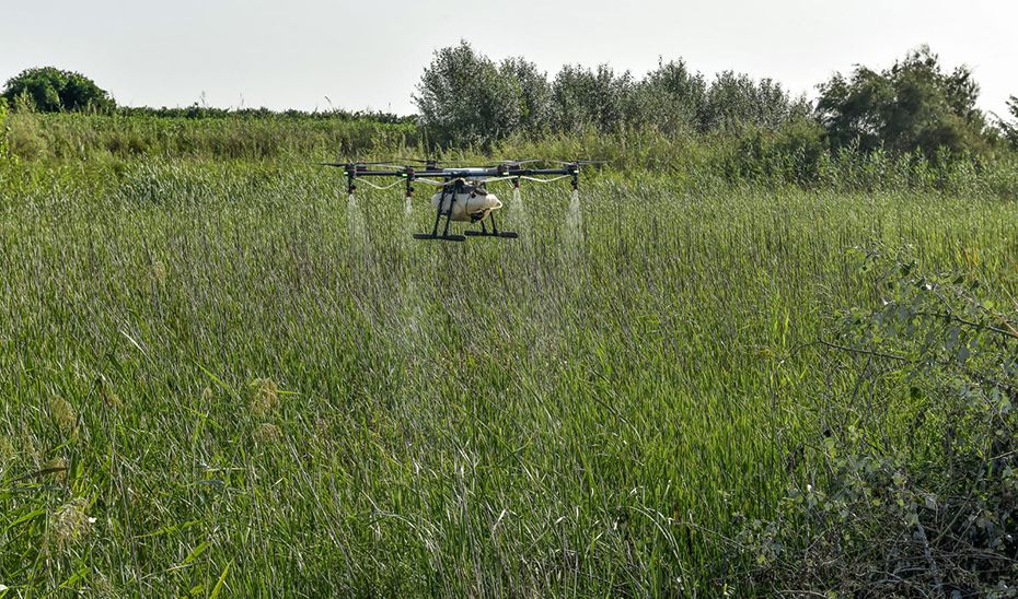 Un dron fumigando para combatir el virus del Nilo, en una imagen del año pasado.