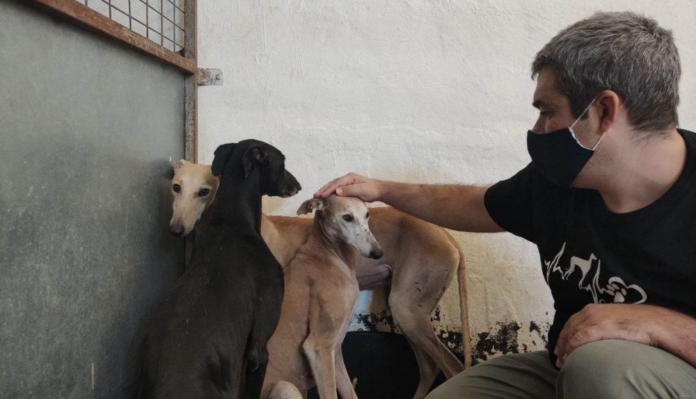 Javier Luna con los galgos acogidos en la asociación cordobesa.