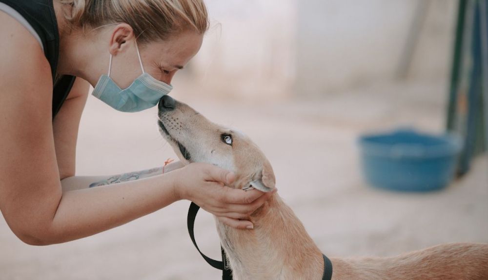 Una voluntaria dando cariño a uno de los galgos abandonados.