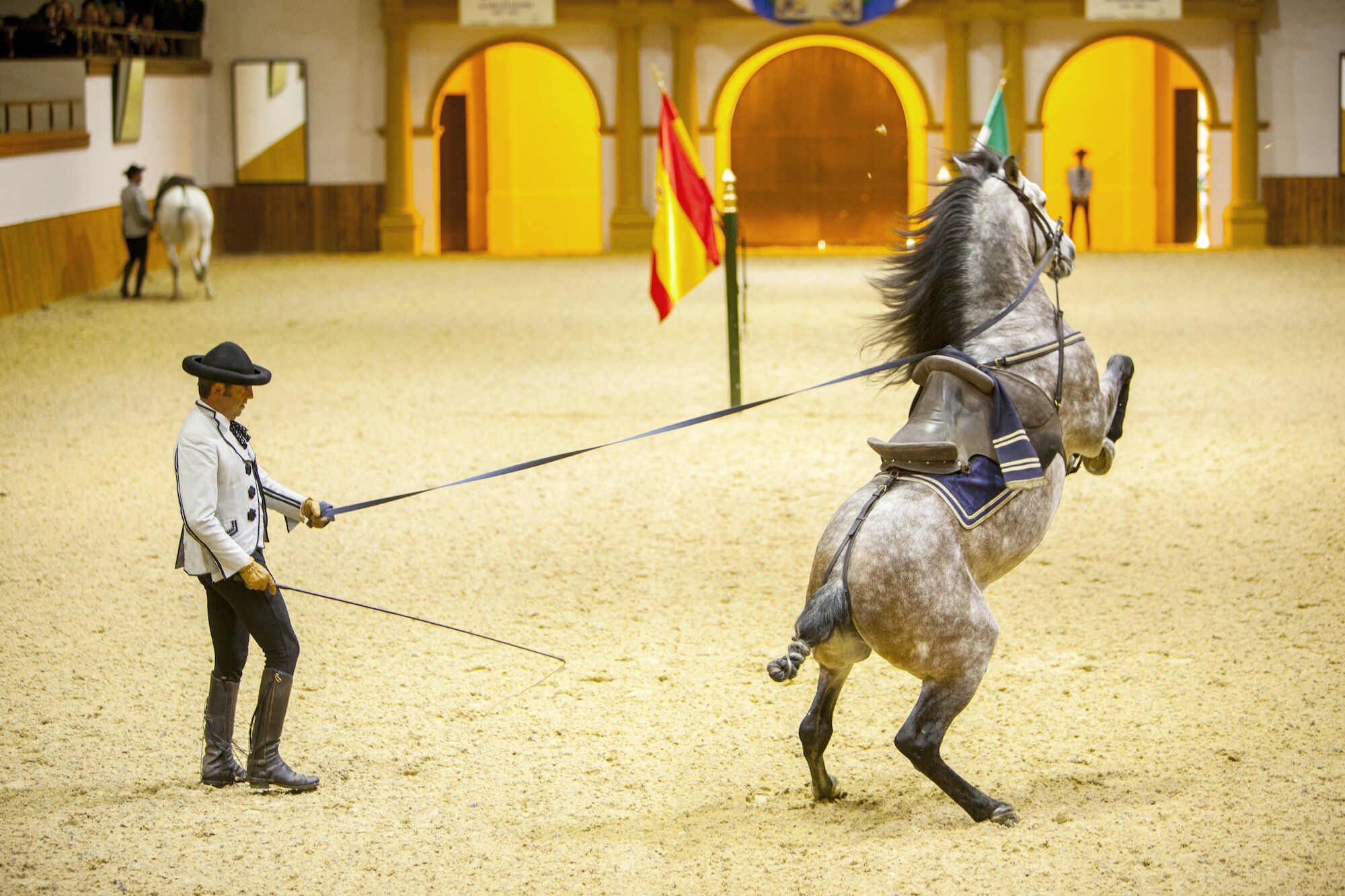 Un momento del espectáculo 'Cómo bailan los caballos andaluces' en la Real Escuela del Arte Ecuestre.
