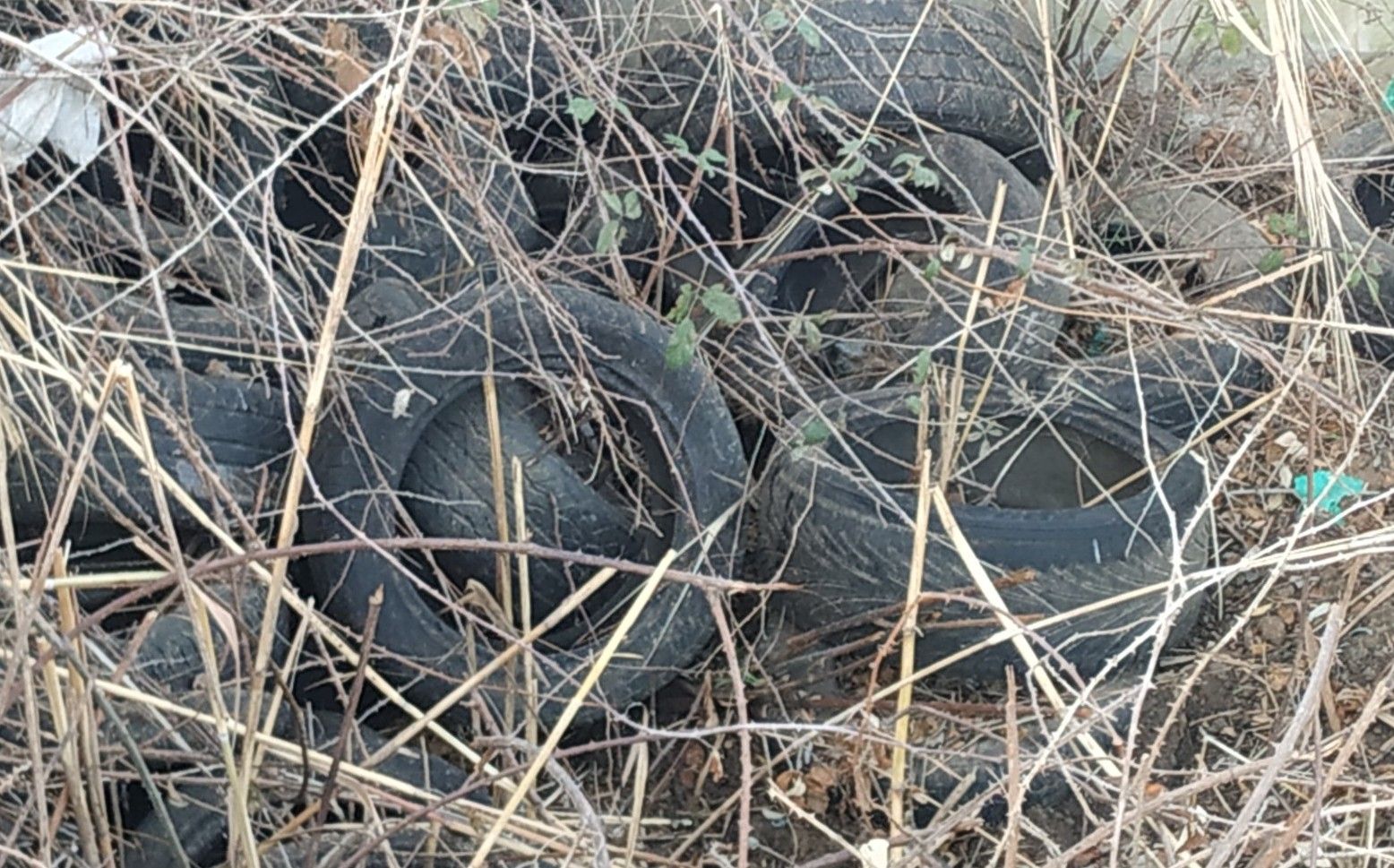 Neumático arrojados cerca del campo de fútbol de Algeciras.