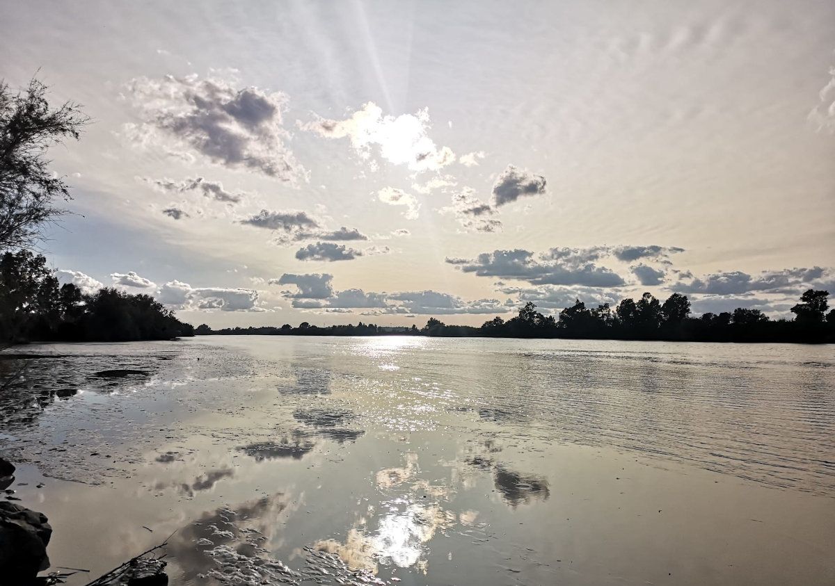 Estuario del Guadalquivir, con Gelves, Palomares y Coria del Río al fondo.