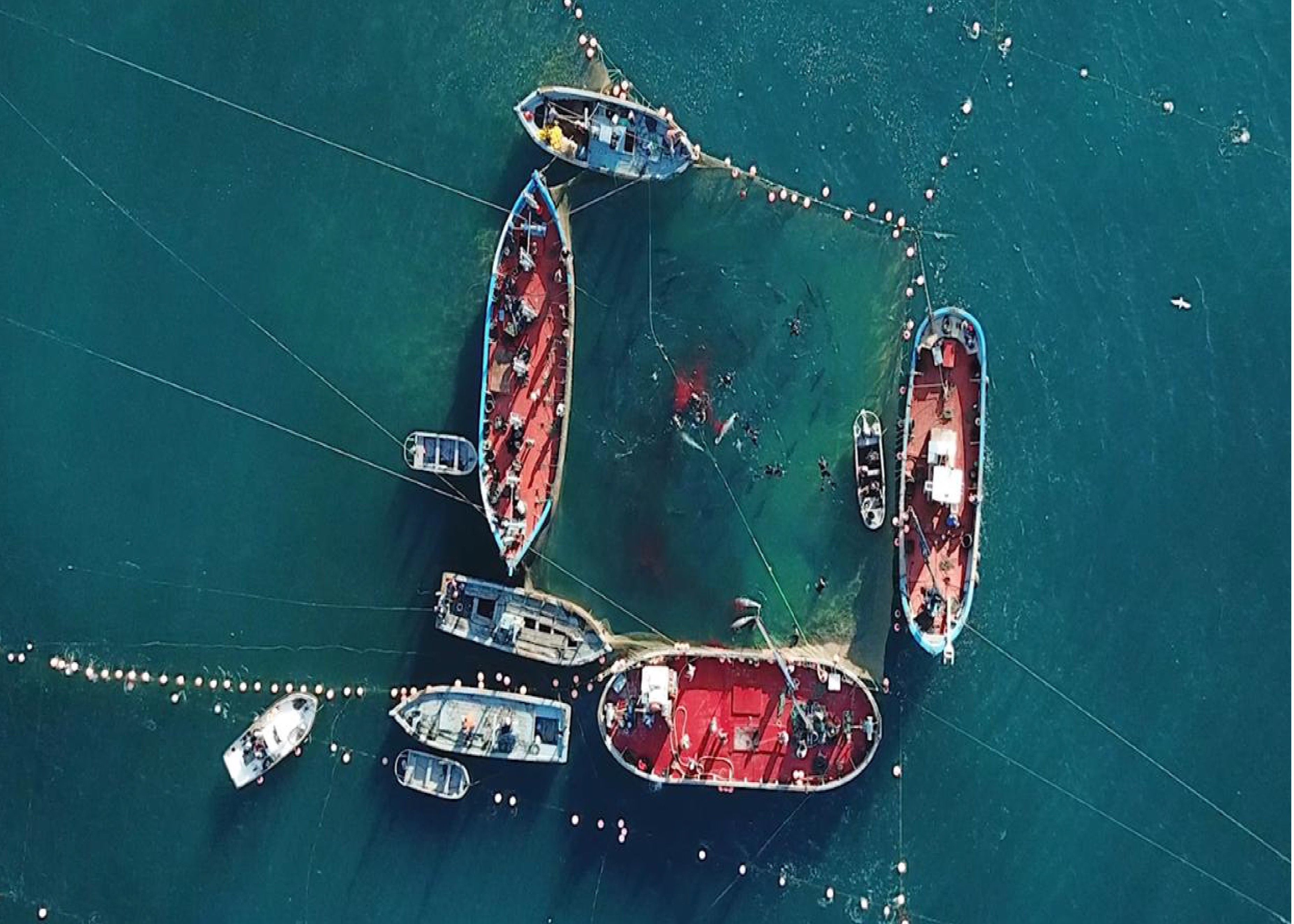 Una escena del premiado vídeo promocional de Conil.