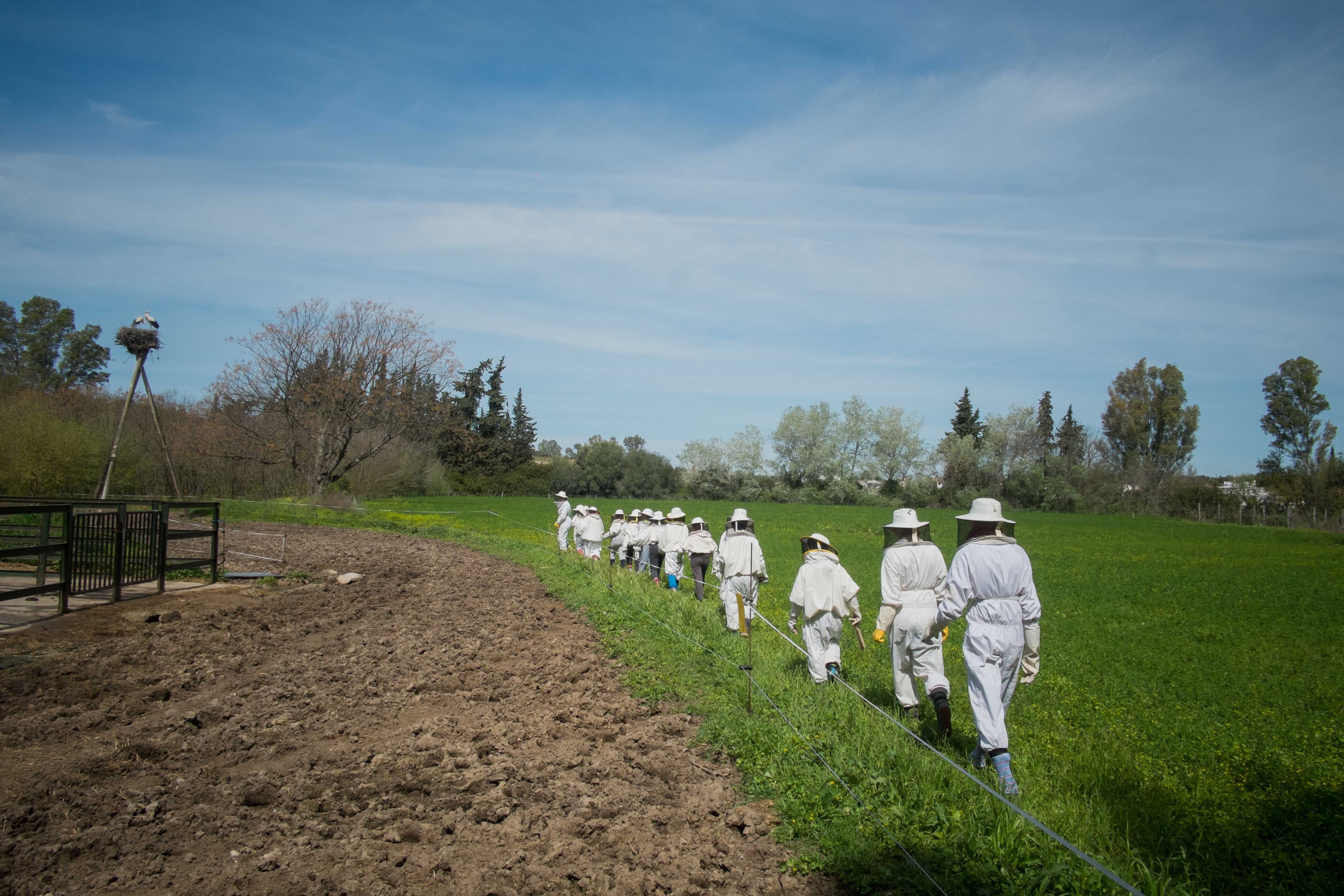 Alumnos se dirigen al taller de apicultura. FOTO: MANU GARCÍA.