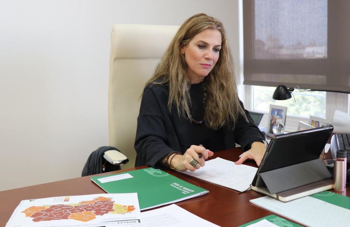 Ana Mestre durante la reunión sobre la situación sanitaria en Cádiz.