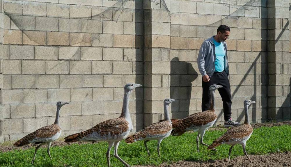 Rafael López, en otro de los aviarios de su centro. Autor: MANU GARCÍA