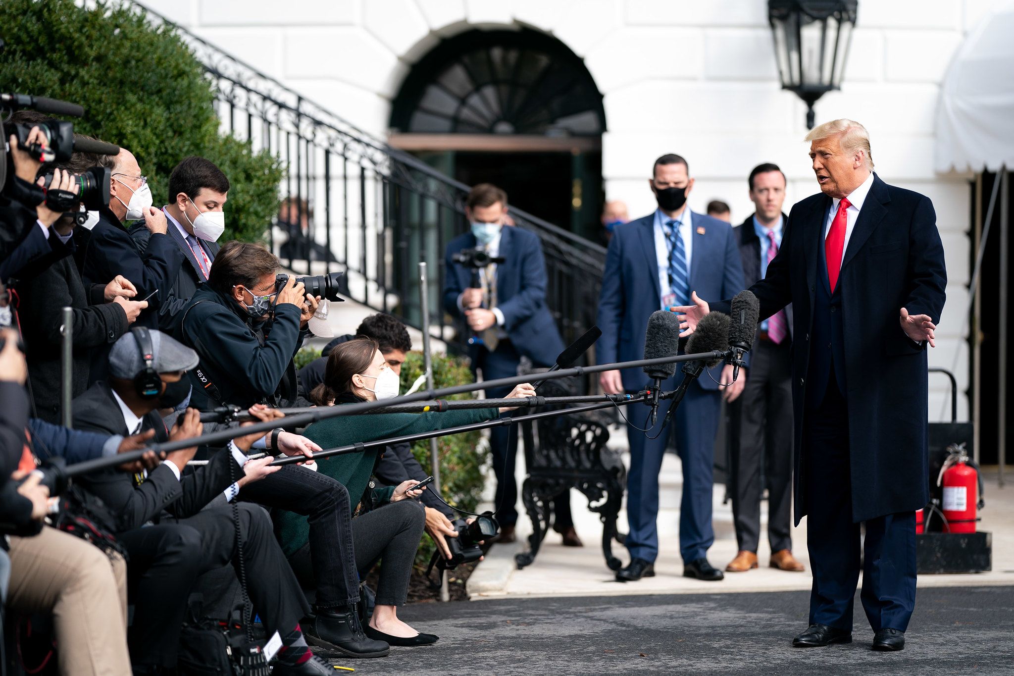 50558359053 8db656242d k