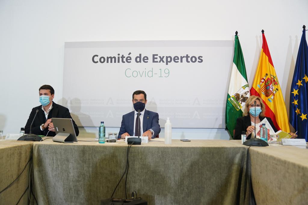 Moreno Bonilla, en la reunión del comité de expertos. FOTO: Junta