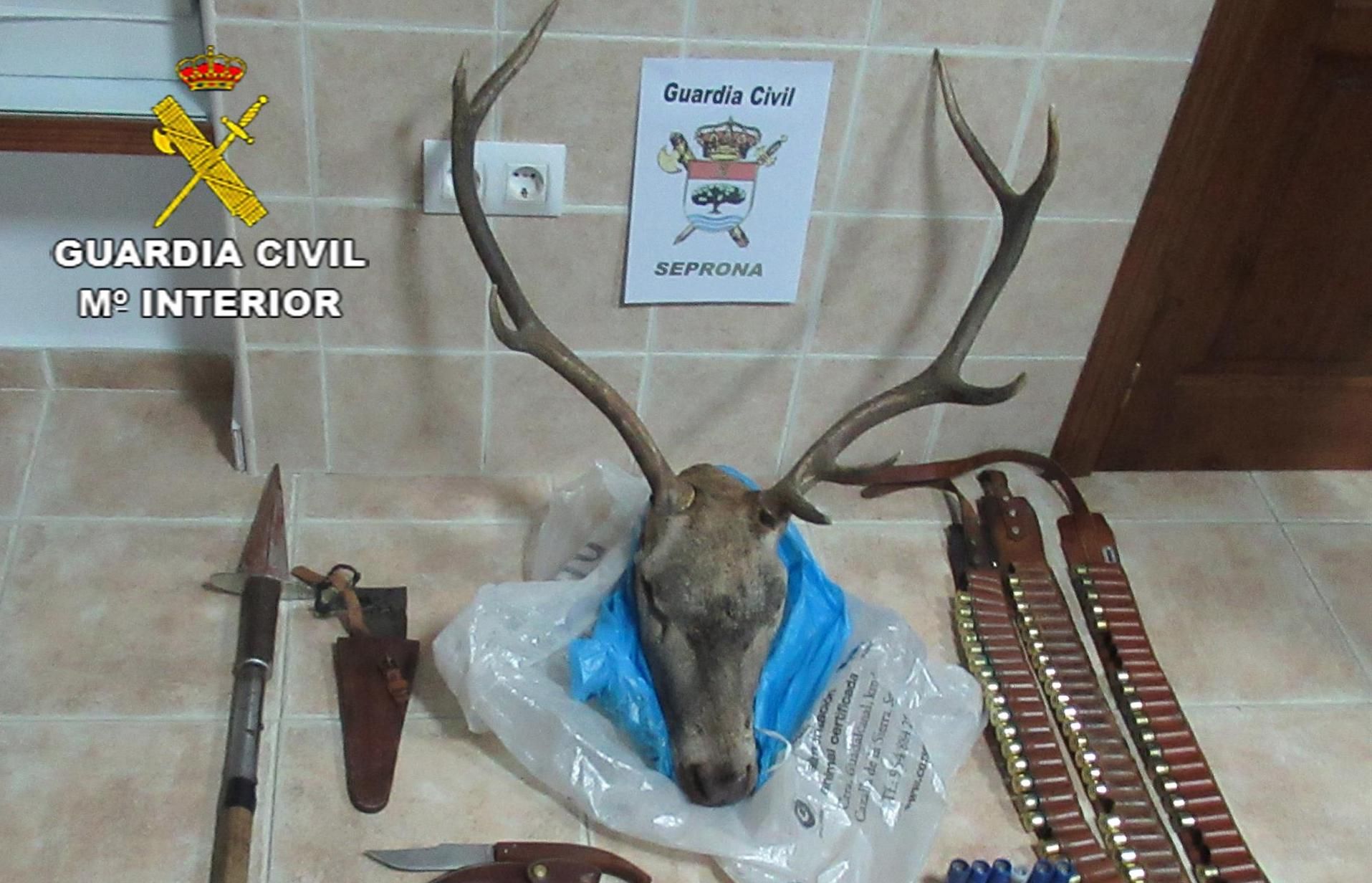 Objetos incautados tras la montería.