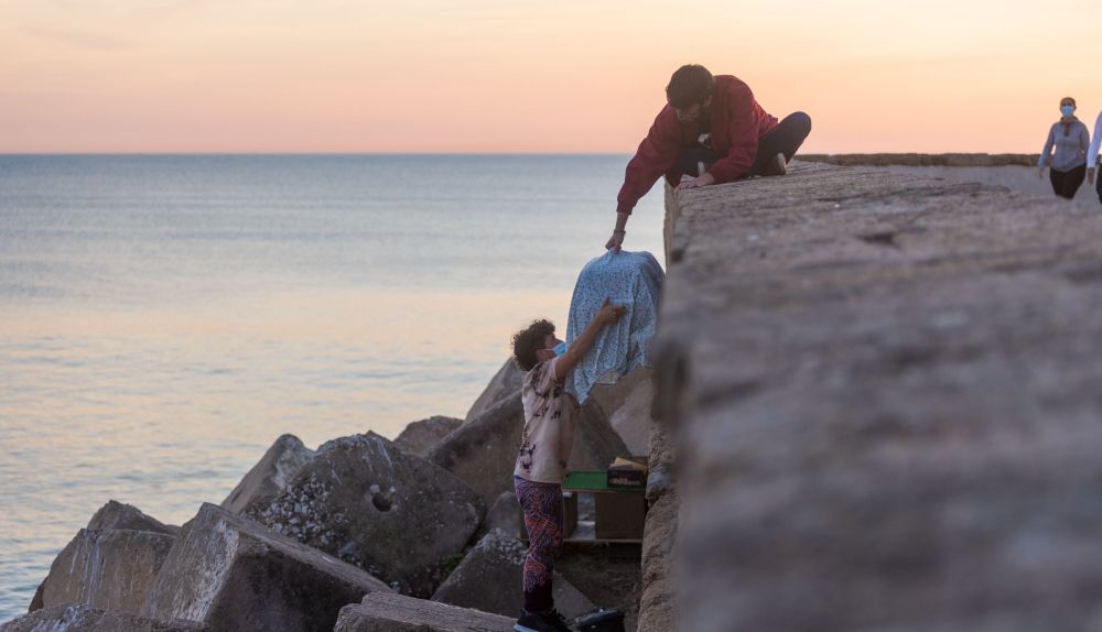 colonia gatos Cadiz020