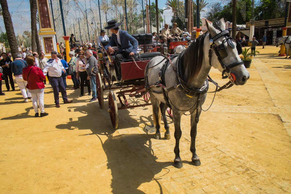 Un coche de caballos en la pasada Feria. FOTO: MANU GARCÍA.