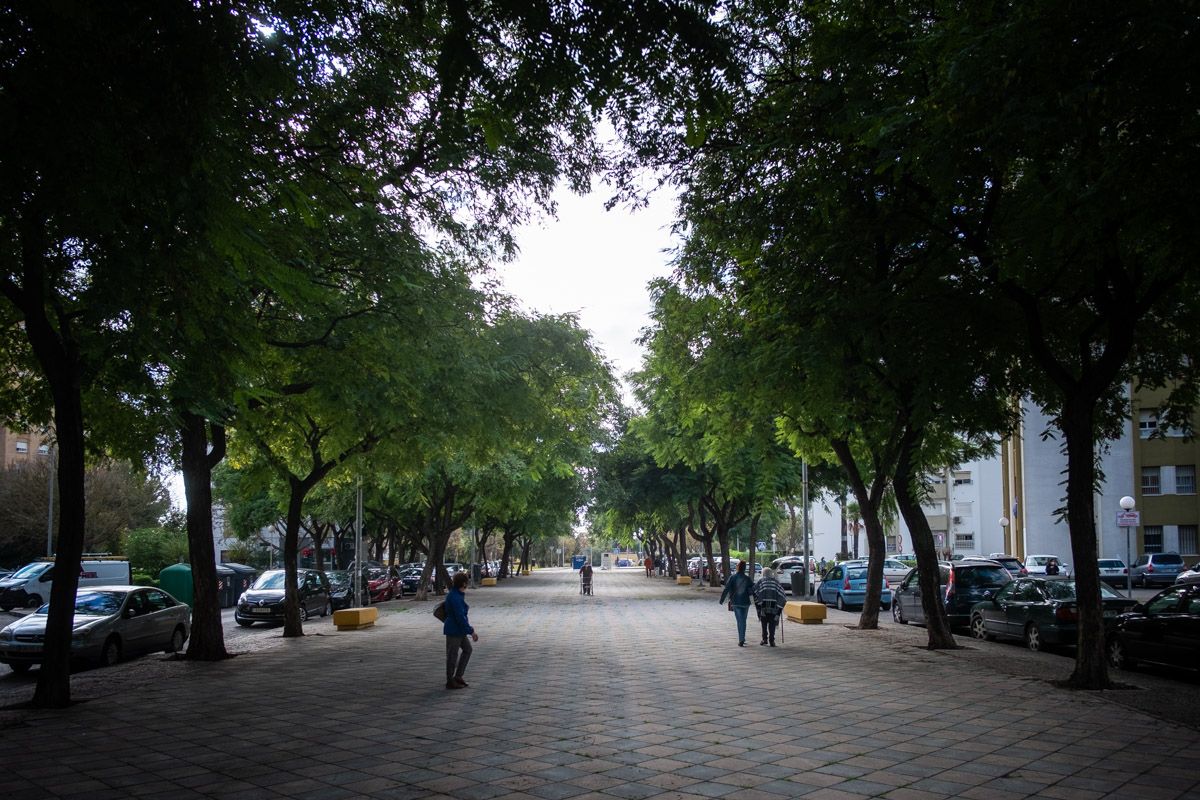 Comercios, en una barriada de Jerez.