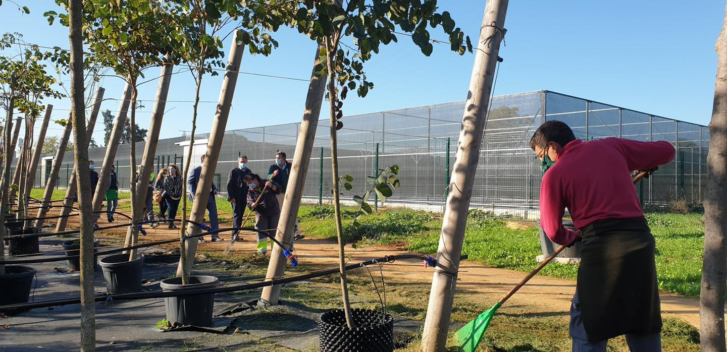 El alcalde de Sevilla, Juan Espadas, supervisando una plantación de árboles.